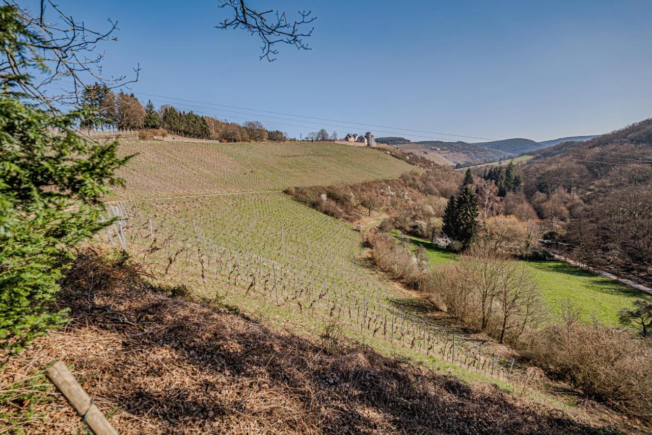 Saar Castle - Cozy Mansion Near Vineyard Villa Serrig Kültér fotó